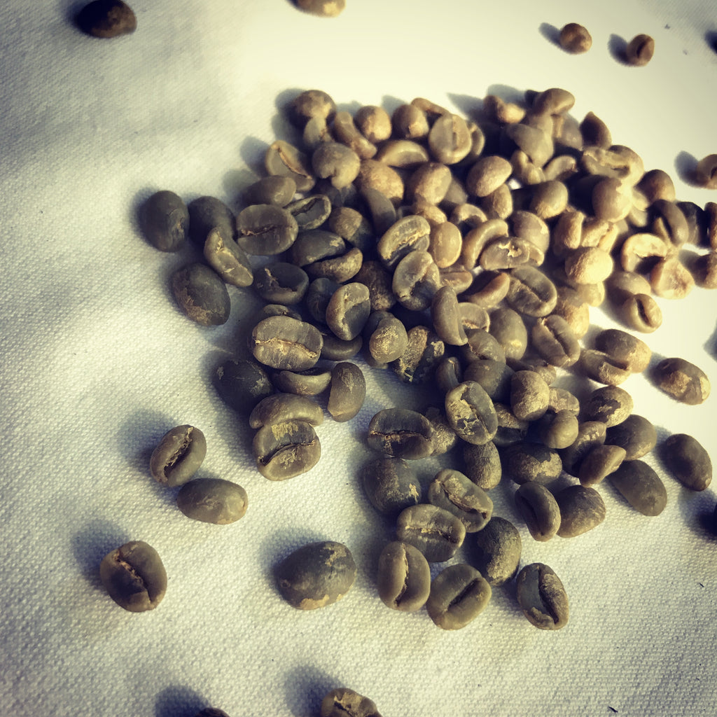 It's a wrap! - Espresso Yourself: 2024 "Green" Coffee Prices Were and Will Continue to Remain Brutally High!